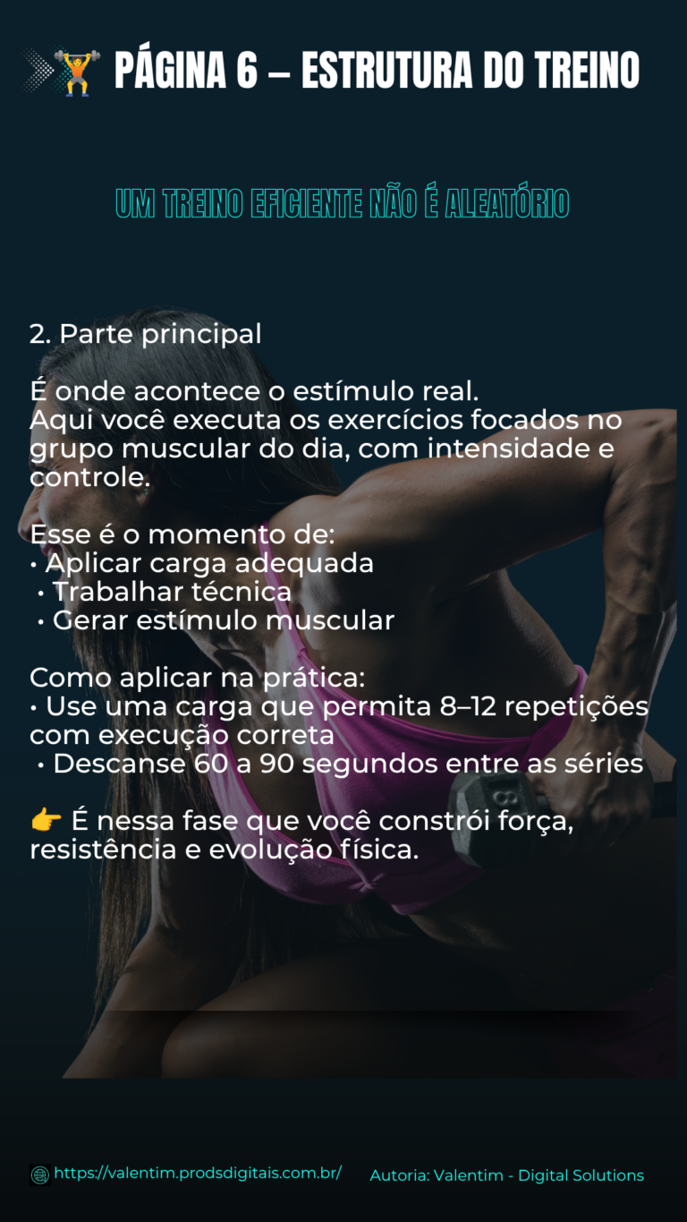 6 - Estrutura do Treino